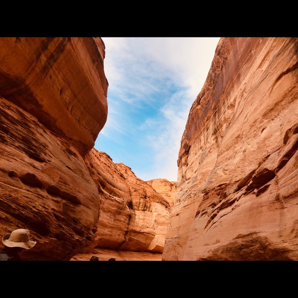 dgnyct05
